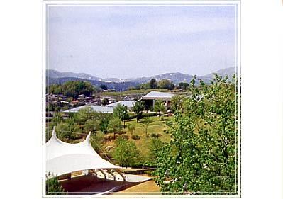 笠間芸術の森公園,アスレチック,茨城,