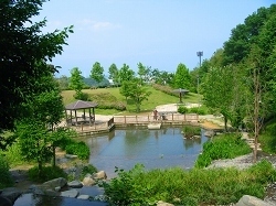 清水日本平運動公園,アスレチック,静岡,
