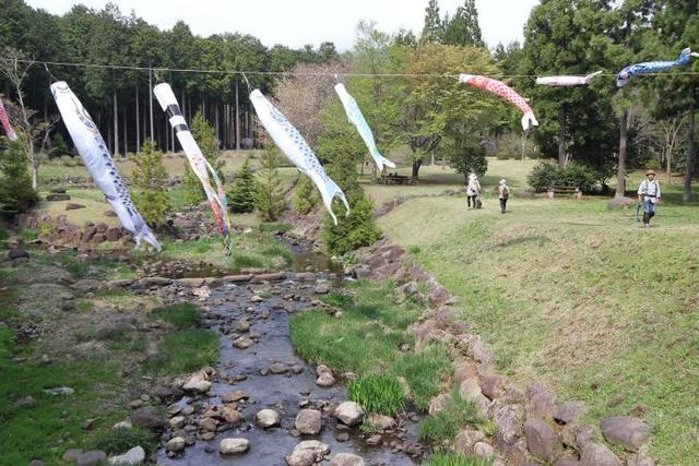 伊豆の国市,アスレチック,静岡,