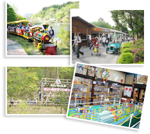 ロマンの森共和国,千葉,アスレチック,公園