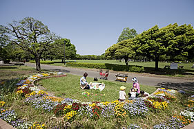 岸根公園,アスレチック,神奈川,