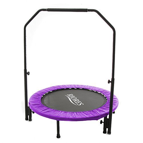 RIORES (リオレス) トランポリン 102cm 手すり付き(補助棒付) 耐荷重110kg 家庭用 静音設計 大人用 子供用 (パープル),おもちゃ,2歳,