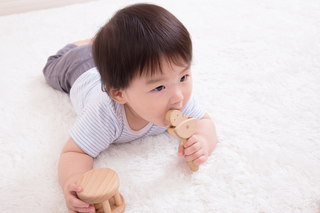 おもちゃをなめる赤ちゃん,離乳食,手づかみ,