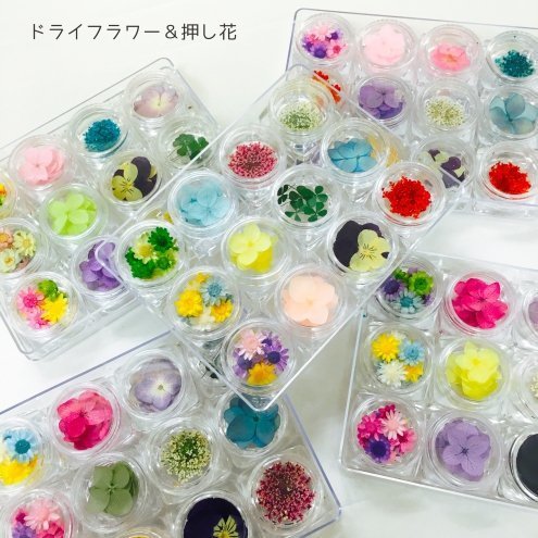 GreenOcean おまかせ12種(^^) お花いっぱい 押し花・ドライフラワーセット,手作り,スマホケース,