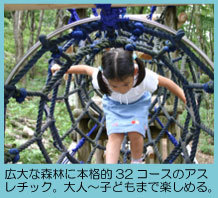もみのき森林公園のアスレチック,アスレチック,広島,