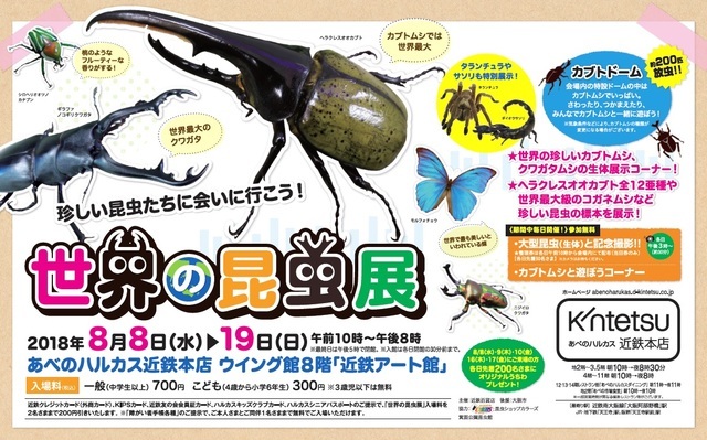 世界の昆虫展,あべのハルカス,イベント,夏