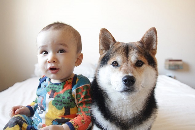 座っている赤ちゃんと犬,