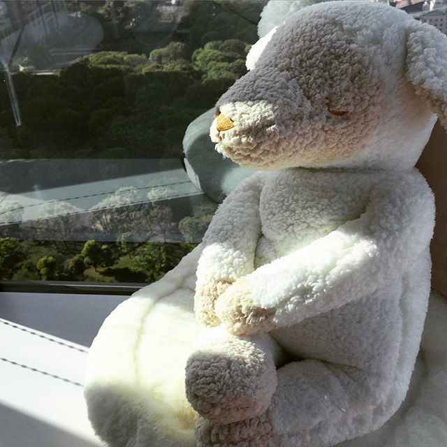 処分を待つぬいぐるみ,ぬいぐるみ,おすすめ,赤ちゃん