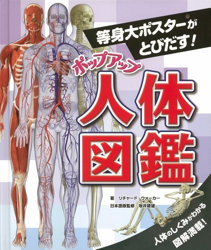 等身大ポスターがとびだす! ポップアップ人体図鑑,飛び出す,絵本,