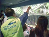 飼育スタッフの餌やり,水族館,さいたま,