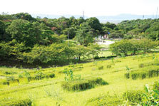 山城総合運動公園の遊びの森,京都,おすすめ,スポット