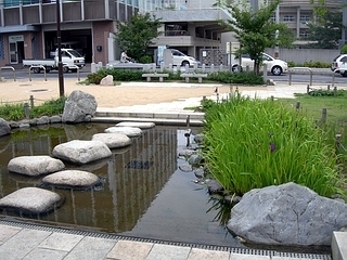 桜井公園,京都,おすすめ,スポット