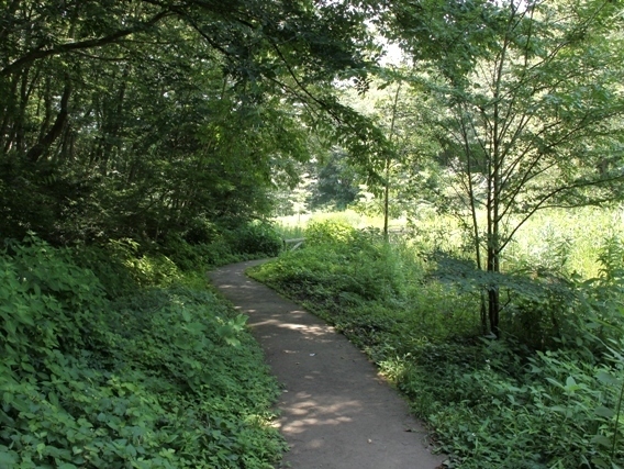ふなばしアンデルセン公園自然体験ゾーン,船橋,アンデルセン,