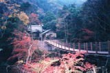 沢山不動滝 と かじか橋,千葉,紅葉,スポット