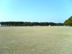 オートキャンプ場,静岡,キャンプ場,
