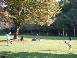 流山市総合運動公園,工場見学,人気,
