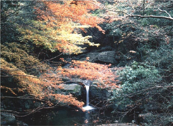 犬鳴山,大阪府,紅葉,スポット