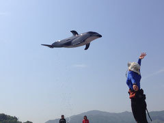 ドルフィンセンターの様子,香川,遊び場,