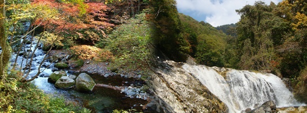 照葉峡散策ツアー,紅葉,バス,関東