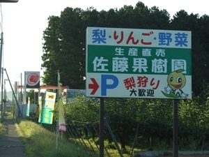 佐藤秀逸果樹園,梨狩り,宮城,蔵王