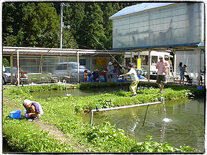 イワナつりぼり 岩ノ沢養魚,新潟,釣り,スポット