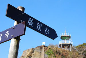 鷹取山,神奈川,ハイキング,コース