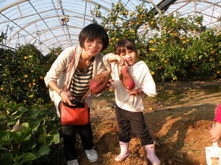 八木みかん園,愛知,さつまいも,掘り