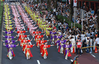 原宿表参道元氣スーパーよさこい,原宿,表参道,よさこい