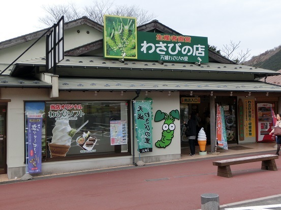 天城わさびの里,静岡,親子,農業