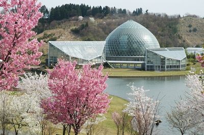 新潟県立植物園,新潟,植物園,おすすめ