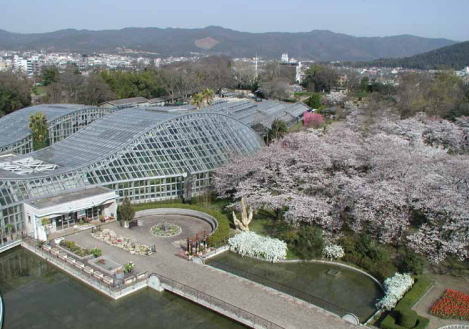 京都府立植物園,京都,子連れ,植物園