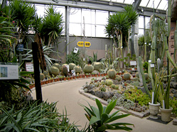 福知山市都市緑化植物園,京都,子連れ,植物園