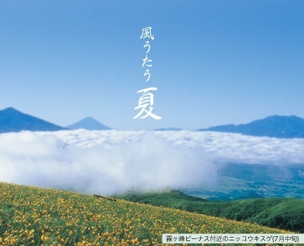 黄金アカシアの丘,白樺,池の平ファミリーランド,長野