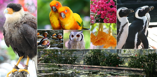 掛川花鳥園,新幹線,静岡,掛川