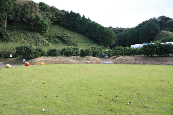 森林果樹公園,新幹線,静岡,掛川