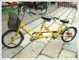 名城自転車天国,スポーツの秋,親子,名古屋