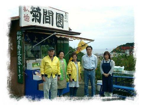 菊間園,みかん狩り,静岡,おすすめ