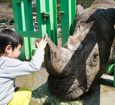 伊豆アニマルキングダム,静岡県,日帰り,旅行
