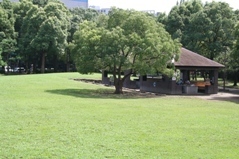平和島公園,アスレチック,公園,大田区