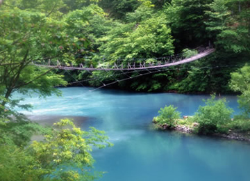 寸又峡 夢の吊橋,吊り橋,ドキドキ,チャレンジ