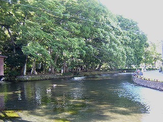 白滝公園,静岡,三島,観光