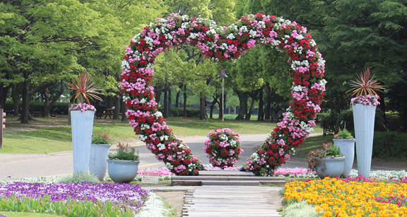 大阪市立 長居植物園,花,植物園,大阪