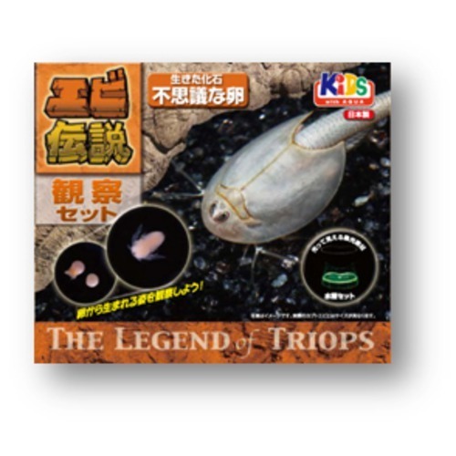 エビ伝説5 カブトエビ,夏休み,工作キット,東急ハンズ