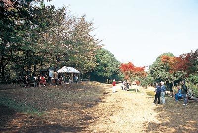 かしの木山自然公園,昆虫採集,夏休み,東京