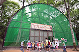 国営備北丘陵公園カブトムシドーム,広島,おすすめ,昆虫観察