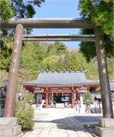 阿夫利神社下社,大山,紅葉,神奈川
