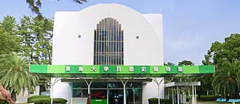 東海大学自然史博物館,静岡県,博物館,体験