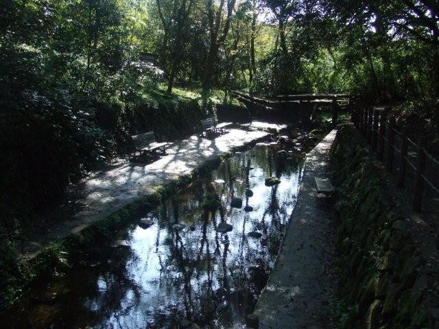 柿田川公園湧水広場,じゃぶじゃぶ池,静岡県,おすすめ