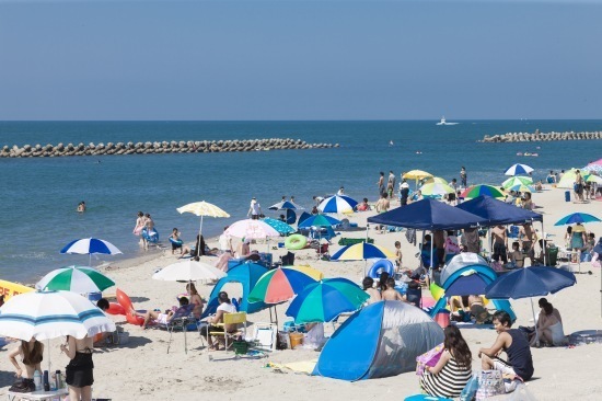 青山海岸海水浴場,新潟県,海水浴場,おすすめ