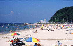 小野浦海水浴場,海水浴場,愛知県,人気